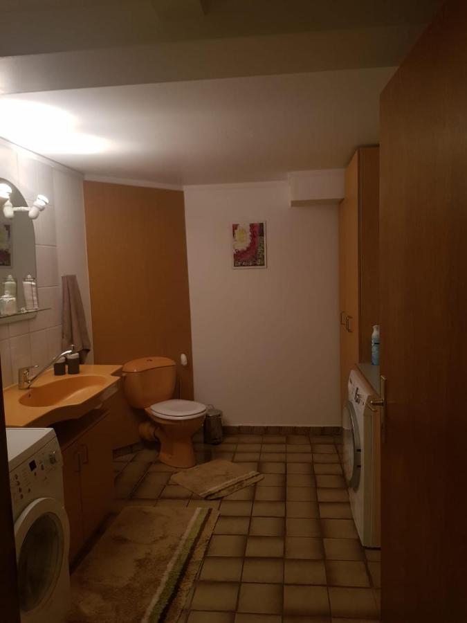 Gemuetliche Ferienwohnung Mit Kamin Und Sauna! Nistertal Eksteriør billede