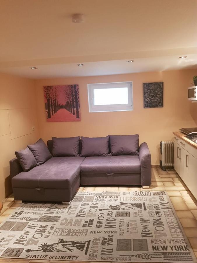 Gemuetliche Ferienwohnung Mit Kamin Und Sauna! Nistertal Eksteriør billede